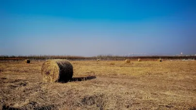 Кашолот Казино Мобилно приложение